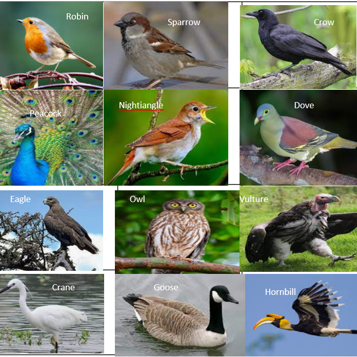 products-image